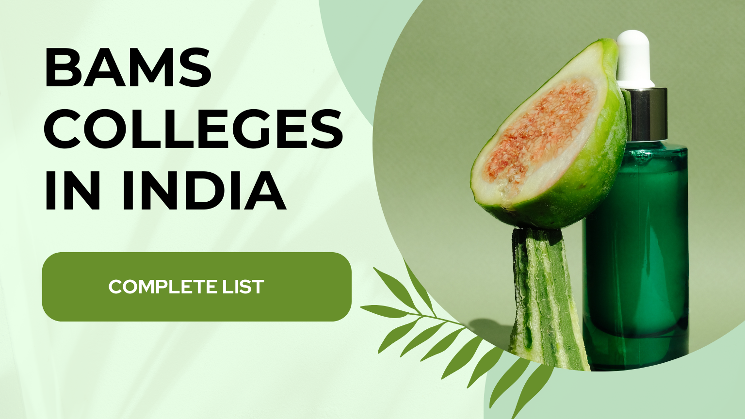 BAMS Colleges in India 2024 Complete List with Fee Structure