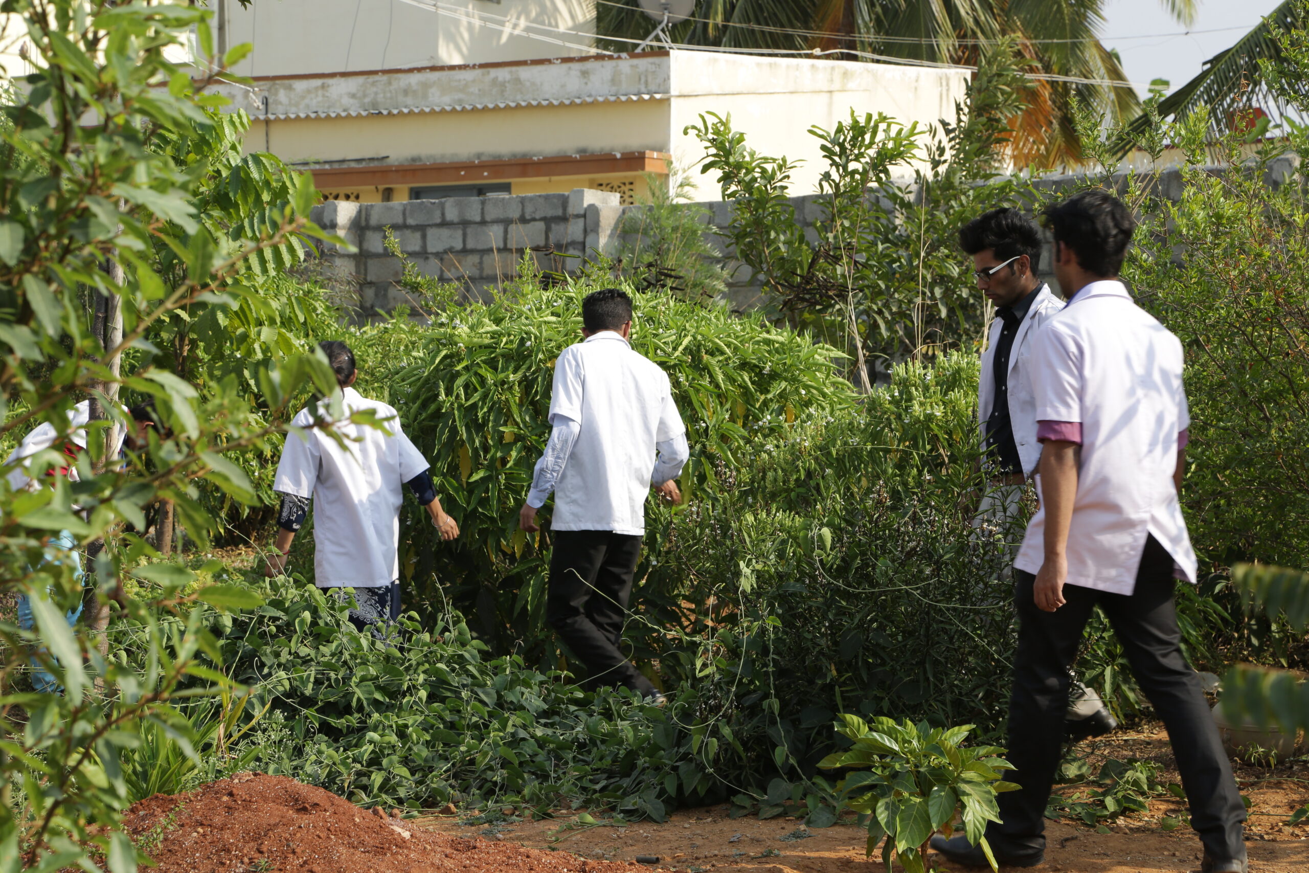 Hillside Ayurveda Medical College Bangalore Admission Fees