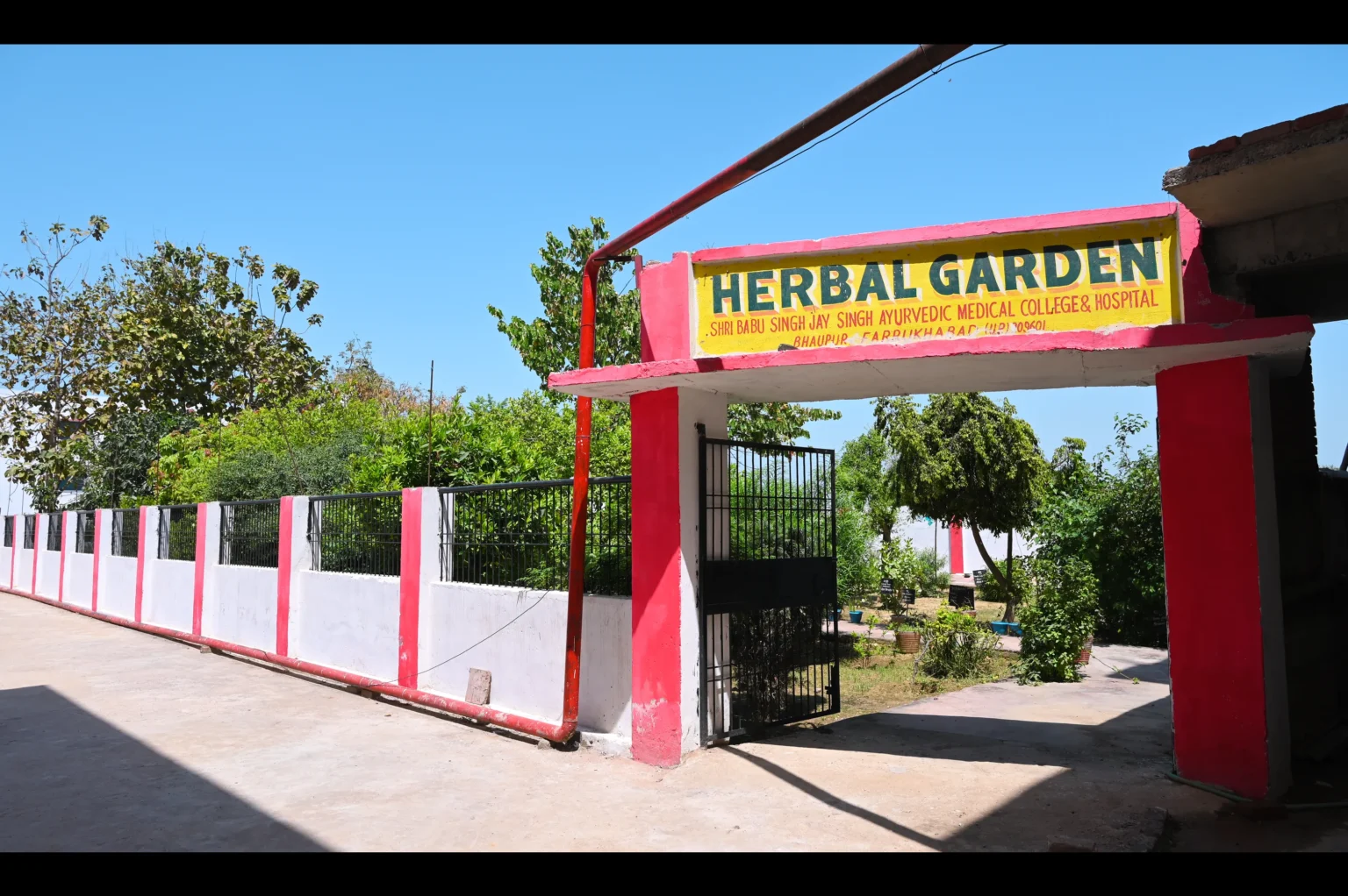 Shri Babu Singh Jai Singh Ayurvedic College Bareilly Herbal Garden